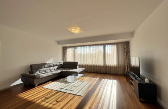 4-room apartment, with terrace, furnished, Kiseleff area ( id run: 16497 )